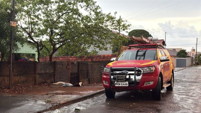 Temporal com ventania derruba árvores em Catalão; granizo é registrado em bairro e rodovia tem pista parcialmente interditada