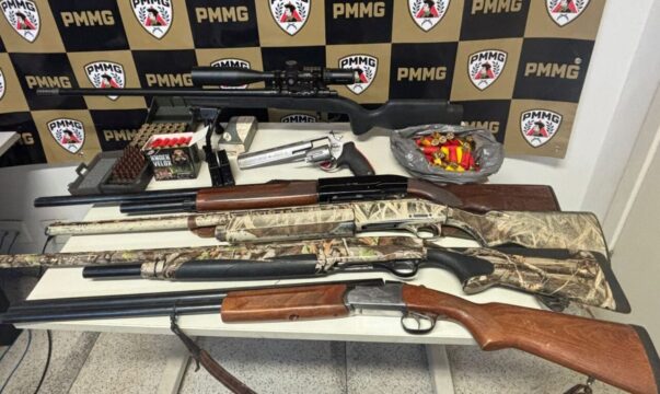 Cinco homens são presos em Coromandel por porte ilegal de armas durante caça de javalis
