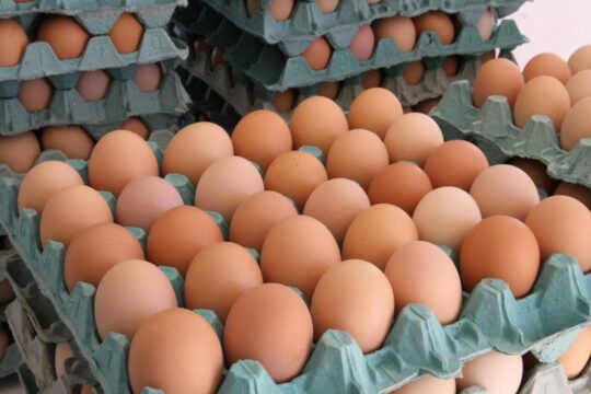 Goiás registra crescimento de 65,7% na produção de ovos