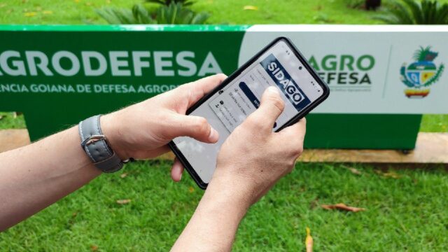 Governo de Goiás abre segunda etapa da Declaração de Rebanho a partir de sábado (1º/11)