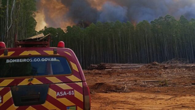 Bombeiros combatem incêndio em plantação de eucalipto e lavoura na zona rural de Ipameri