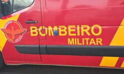 Caminhão carregado com soja tomba na GO-213, em Ipameri