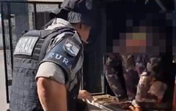 Polícia Militar apreende armas de fogo ilegais durante patrulhamento rural em Orizona
