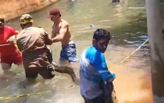 Cobra sucuri de 5 metros é capturada pelo Corpo de Bombeiros em balneário de Rio Quente