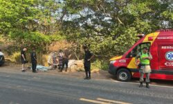 Mulher de 41 anos morre após carro sair da pista e bater em árvore na GO-080, em Goianésia Mulher de 41 anos morre após carro sair da pista e bater em árvore na GO-080, em Goianésia