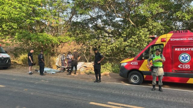 Mulher de 41 anos morre após carro sair da pista e bater em árvore na GO-080, em Goianésia
