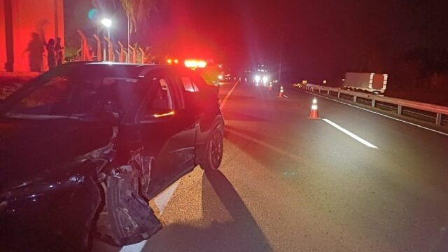 Motorista embriagado perde controle e bate em defensa metálica ao desviar de cachorro em Pires Belo