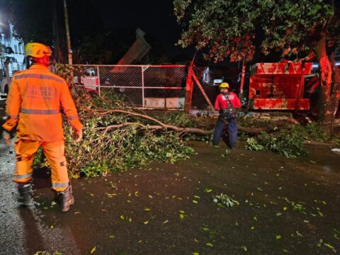 Fortes chuvas provocam alagamentos, quedas de árvores e resgates em Araguari