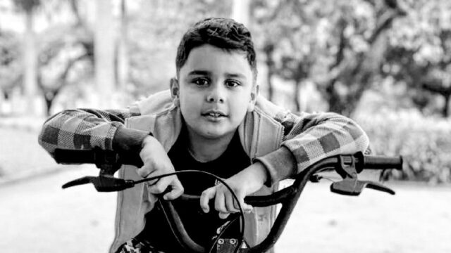 Após ataque de abelhas em Catalão, menino de 9 anos vem à óbito em hospital de Uberlândia