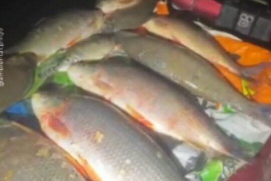 Operação Piracema apreende 20 kg de pescado ilegal e prende dois homens por pesca predatória em Catalão