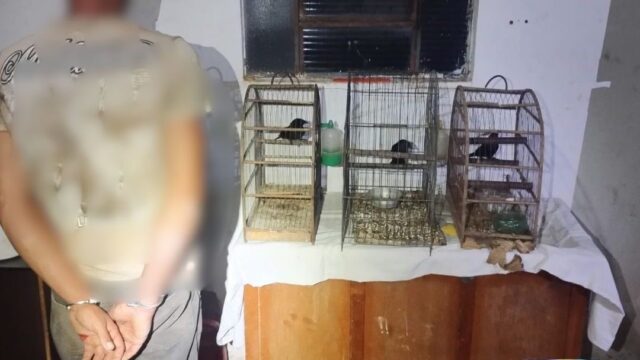 Polícia Militar resgata animais silvestres mantidos em cativeiro durante ocorrência de violênci@ doméstica em Ipameri
