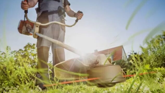 Prefeitura de Catalão prorroga prazo para limpeza de lotes devido às chuvas intensas
