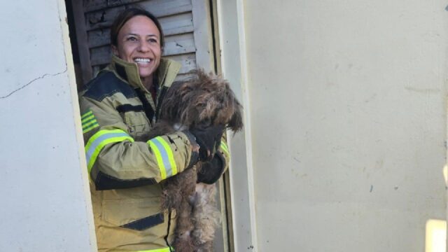 Incêndio atinge residência em Ipameri; cachorro é resgatado pelos bombeiros
