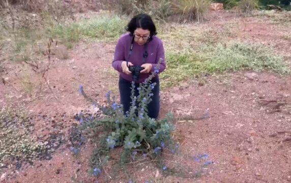 Pesquisas da UEG fortalecem a preservação do Cerrado e impulsionam o desenvolvimento sustentável em Goiás