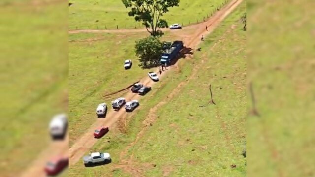 Polícia Militar frustra furto de 31 cabeças de gado e prende três suspeitos na zona rural de Uberlândia