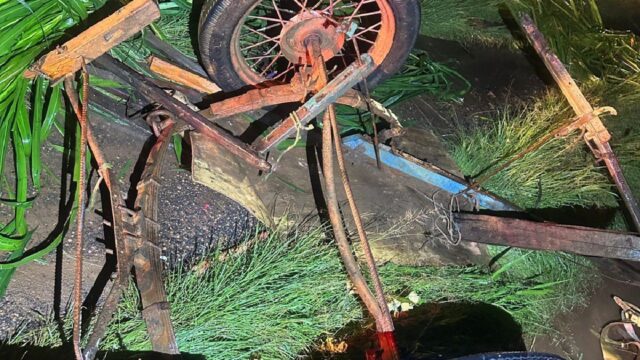 Colisão entre carroça e ônibus de excursão deixa uma pessoa ferida na MG-223, em Araguari