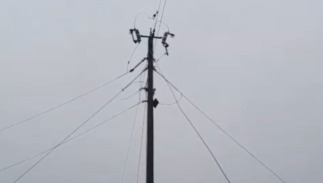 Produtores rurais de Goiandira denunciam mais de quatro dias sem energia e cobram solução da Equatorial