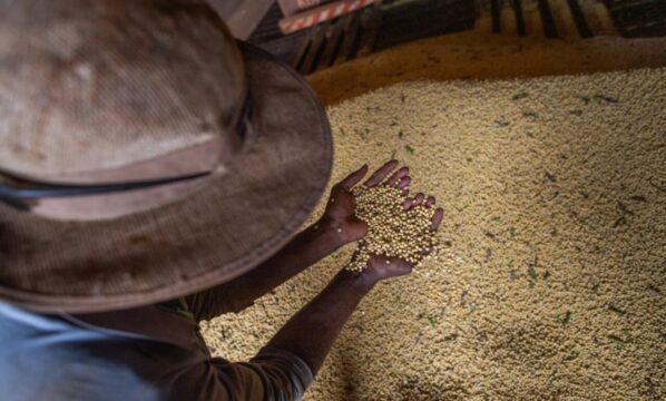 Goiás encerra 2025 com superávit de mais de US$ 8 bilhões na balança comercial