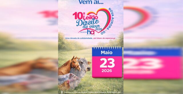 Solidariedade em destaque: Nova Aurora se prepara para o 10º Leilão Direito de Viver