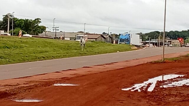 Animal solto às margens da BR-050 em Catalão coloca motoristas em risco