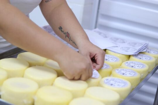 Inscrições para projeto de melhoria de agroindústrias terminam neste sábado (7/2)