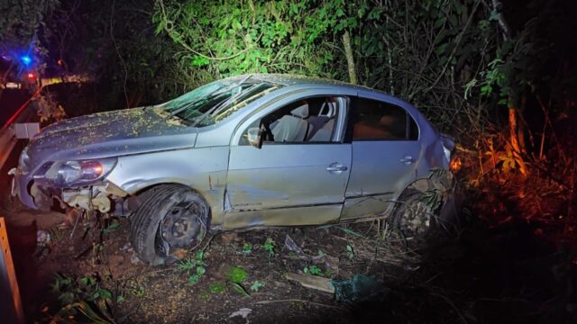 Atropelamento de capivaras termina com carro fora da pista na BR-352, em Patos de Minas