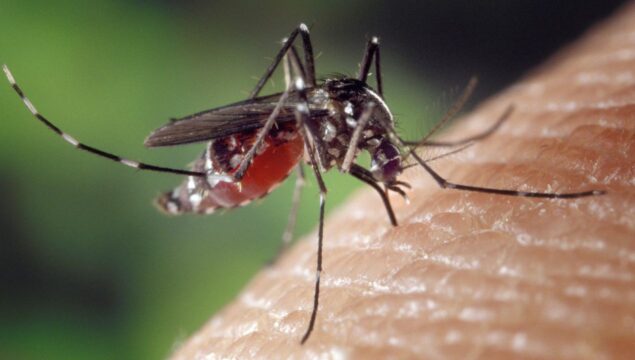 Uberlândia registra mais de 3,6 mil casos de dengue em 2026 e duas mortes confirmadas