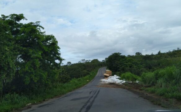 Carreta tomba após manobra de ultrapassagem na GO-330 entre Catalão e Ipameri