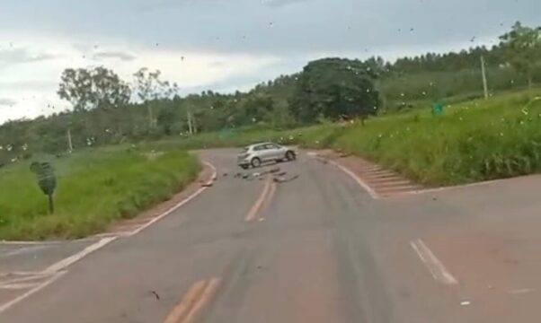 Acidente entre caminhão e carro é registrado na GO-330, em Pires do Rio, no trevo para Urutaí