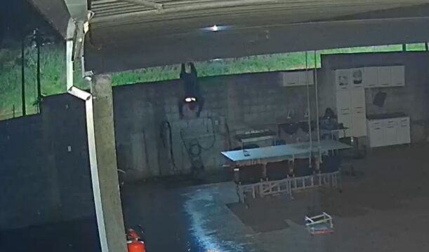 Furto registrado por câmeras expõe ação ousada em comércio de Catalão; VÍDEO