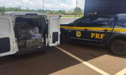 PRF apreende mais de meia tonelada de maconha na BR-050, em Uberaba PRF apreende mais de meia tonelada de maconha na BR-050, em Uberaba