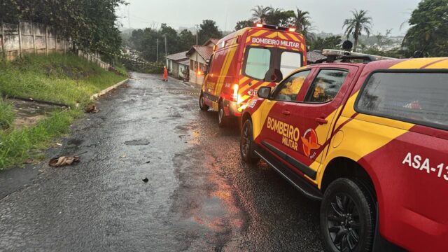 Árvore cai sobre rede de alta tensão e rua é isolada pelos bombeiros em Ipameri