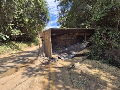 Carreta tomba após passar por buracos e espalha carga de soja na BR-352, em Abadia dos Dourados (MG)