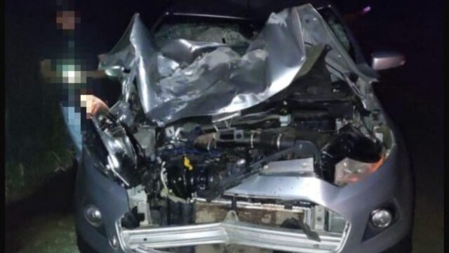 Carro atinge boi na GO-330 e deixa passageira ferida em Ipameri