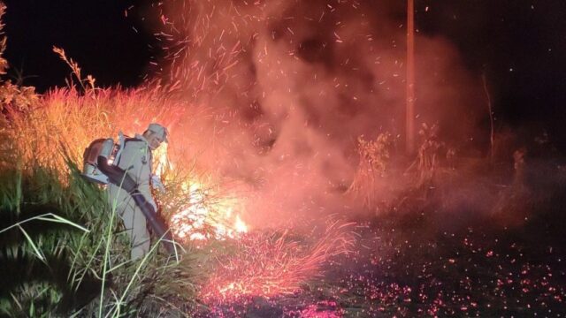 Incêndio em vegetação é controlado às margens da BR-050 em Campo Alegre de Goiás