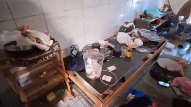 Polícia Civil cumpre mandado e apreende drogas e motocicleta adulterada em Ouvidor