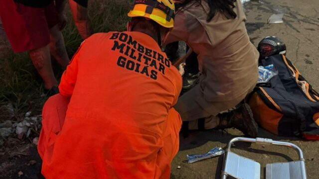 Motociclista fica ferido após colidir com tamanduá-bandeira na GO-305, em Goiandira