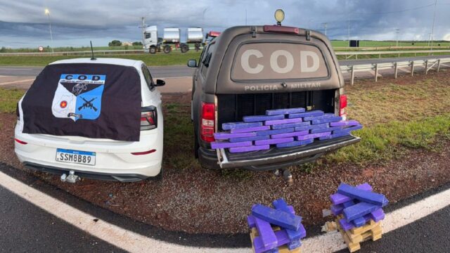 Casal é preso com 60 kg de maconha durante operação policial no Leste de Goiás