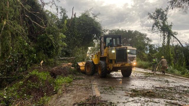 Árvores caem e interditam parte da GO-330 entre Urutaí e Ipameri