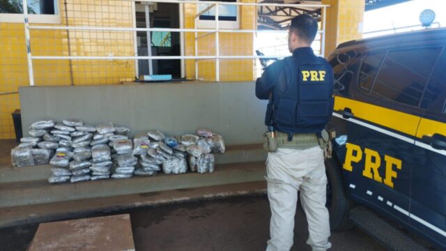 PRF apreende cerca de 60 kg de skunk e prende jovem por tráfico na BR-060, em Rio Verde