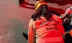 Motociclista fica ferido após queda na Avenida Minas Gerais, em Ipameri Motociclista fica ferido após queda na Avenida Minas Gerais, em Ipameri