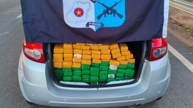 Operação do COD apreende 70 peças de maconha e prende suspeito em Cristalina