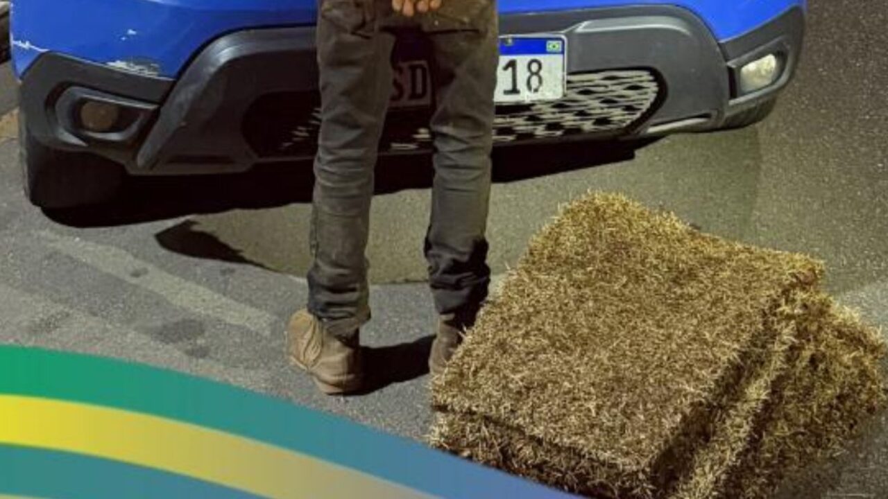  Placas de grama furtadas de área pública foram recuperadas pela Polícia Militar durante a ocorrência. (Foto: divulgação/Polícia Militar)