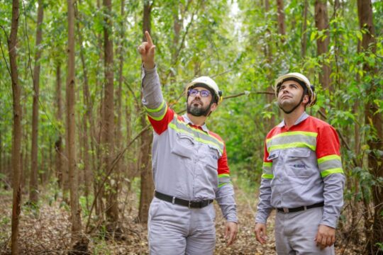 Semana do Meio Ambiente 2026 reforça compromisso da CMOC com sustentabilidade e educação ambiental