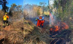 Incêndio em vegetação é controlado antes de atingir o Parque Estadual da Serra de Caldas Novas Incêndio em vegetação é controlado antes de atingir o Parque Estadual da Serra de Caldas Novas