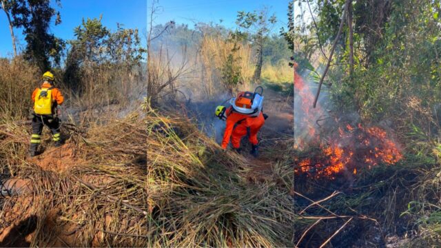 Incêndio em vegetação é controlado antes de atingir o Parque Estadual da Serra de Caldas Novas