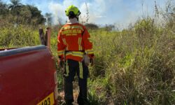 Incêndio em vegetação mobiliza Corpo de Bombeiros próximo ao Parque Estadual do Pau Furado, em Araguari Incêndio em vegetação mobiliza Corpo de Bombeiros próximo ao Parque Estadual do Pau Furado, em Araguari