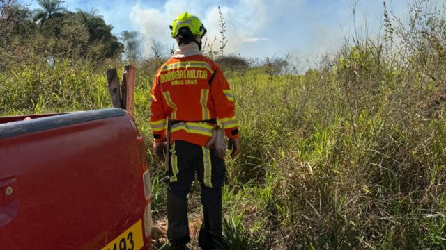 Incêndio em vegetação mobiliza Corpo de Bombeiros próximo ao Parque Estadual do Pau Furado, em Araguari