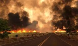 Governo de Goiás decreta emergência ambiental devido ao risco de incêndios florestais durante a estiagem Governo de Goiás decreta emergência ambiental devido ao risco de incêndios florestais durante a estiagem