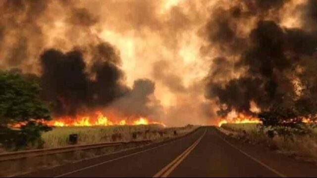 Governo de Goiás decreta emergência ambiental devido ao risco de incêndios florestais durante a estiagem